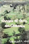 vignette